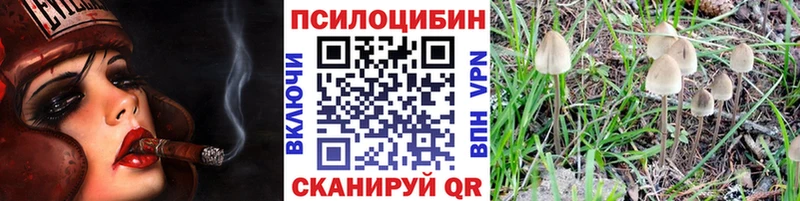 где продают Кунгур Галлюциногенные грибы MAGIC MUSHROOMS