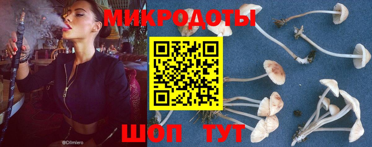 Галлюциногенные грибы Cubensis  Галлюциногенные грибы мухоморы  Кунгур  Вход с VPN 